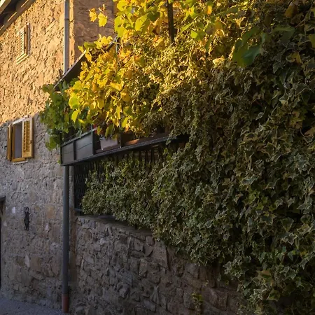 Charming Irena Gem Of Vipava Valley - Happy Semesterbostad